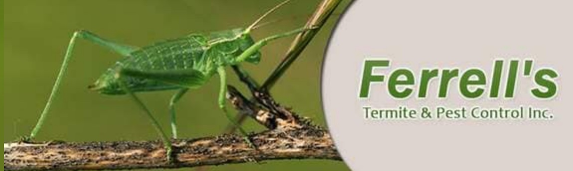 Pest Control - Lake Anna Connections