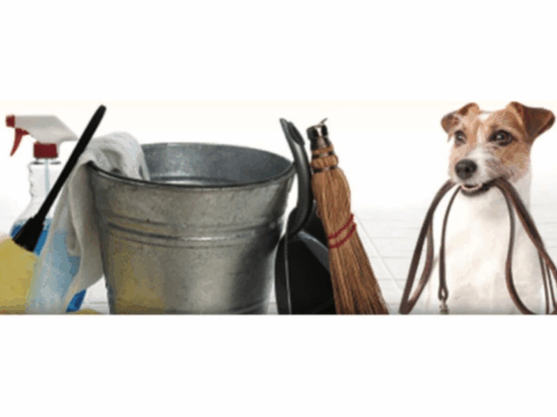 Personalized Home Services