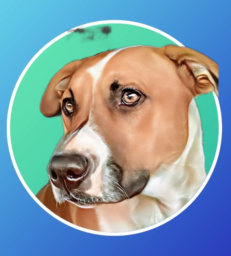 Duke’s Docks, LLC
