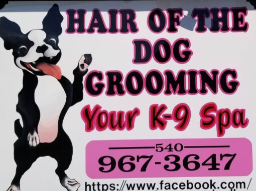 Hair of the Dog Grooming