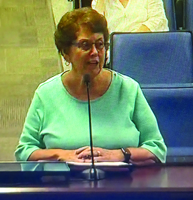 in Kogle, a volunteer with the Louisa County Homeless Coalition and Louisa Community Emergency Fund, is among speakers at the planning commission (photo by Linda Salisbury).