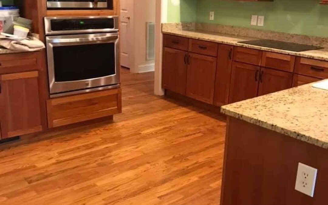 Business spotlight: habitat maids